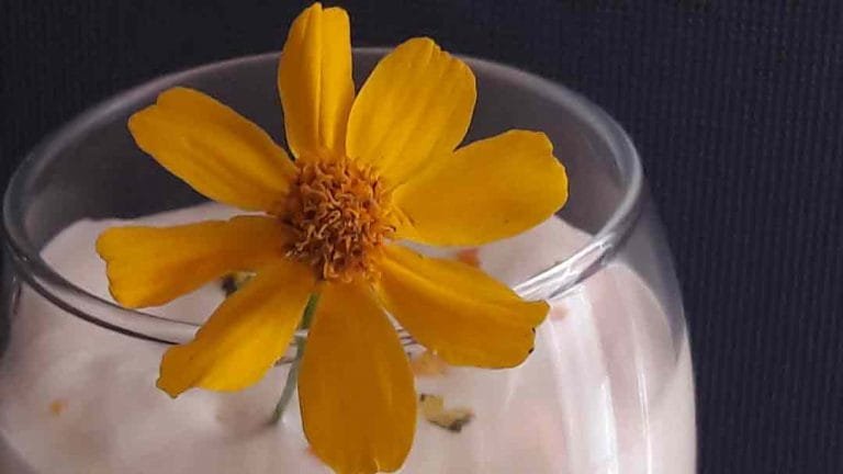 Le blog 33 tagete-lemonnii-comestible-mousse-agrume-recette