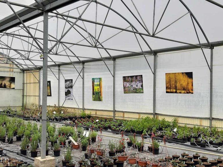 Exposition_l'art_dans_tous_ses_etats