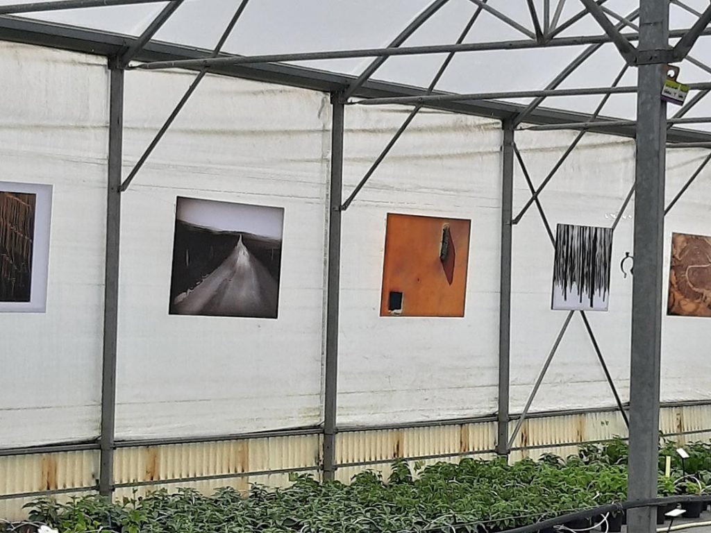 expo_photo_pepiniere