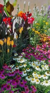 Decoration_vegetale_arc_en_fleurs