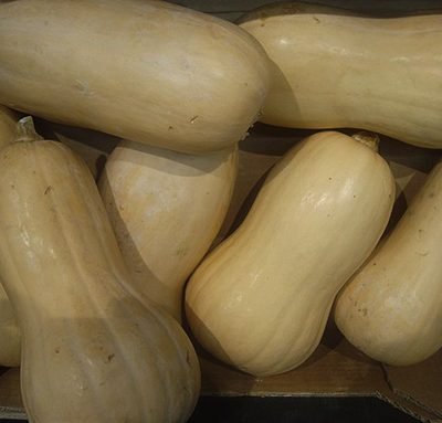 Courge_butternut