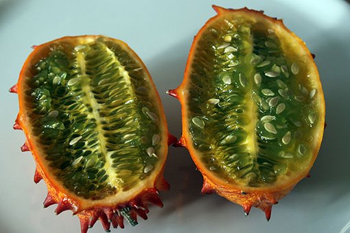 Graines De Kiwano (concombre Corné) - Lot De 10 Graines Cucumis Metuliferus, Plante Grimpante Au Goût Unique - 6