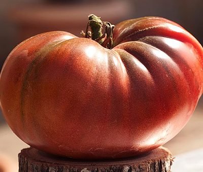 Tomate_Noire_de_Crimée