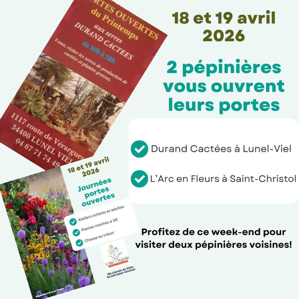 Climate Positive proof points x3 1