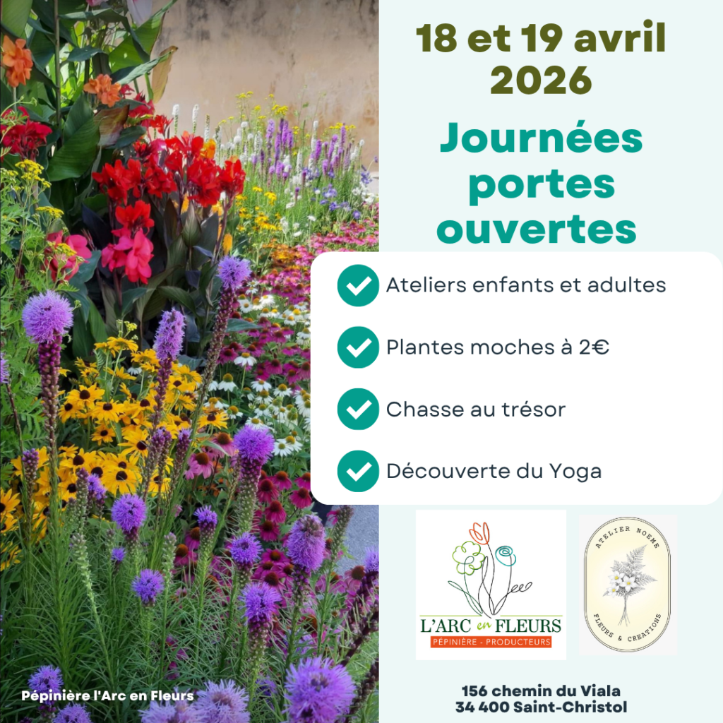 Climate Positive proof points x3