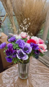 Bouquet d’anémones de Caen, Anemone coronaria, aux fleurs violettes, rouges, roses et blanches